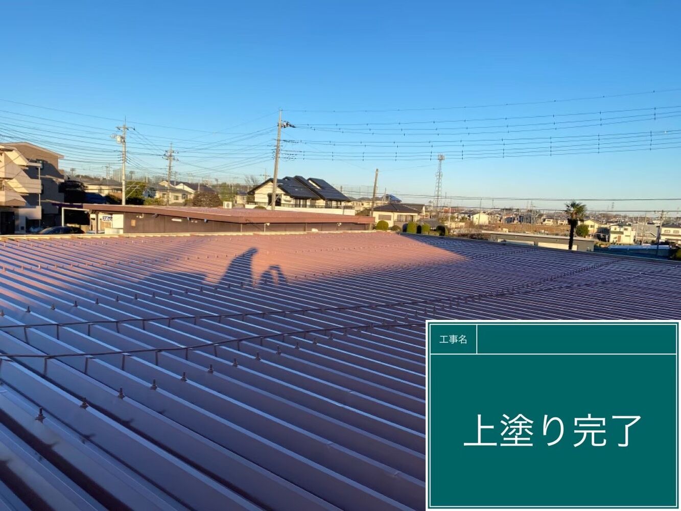 ビフォーアフターや豆知識などを紹介