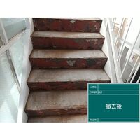 ビフォーアフターや豆知識などを紹介