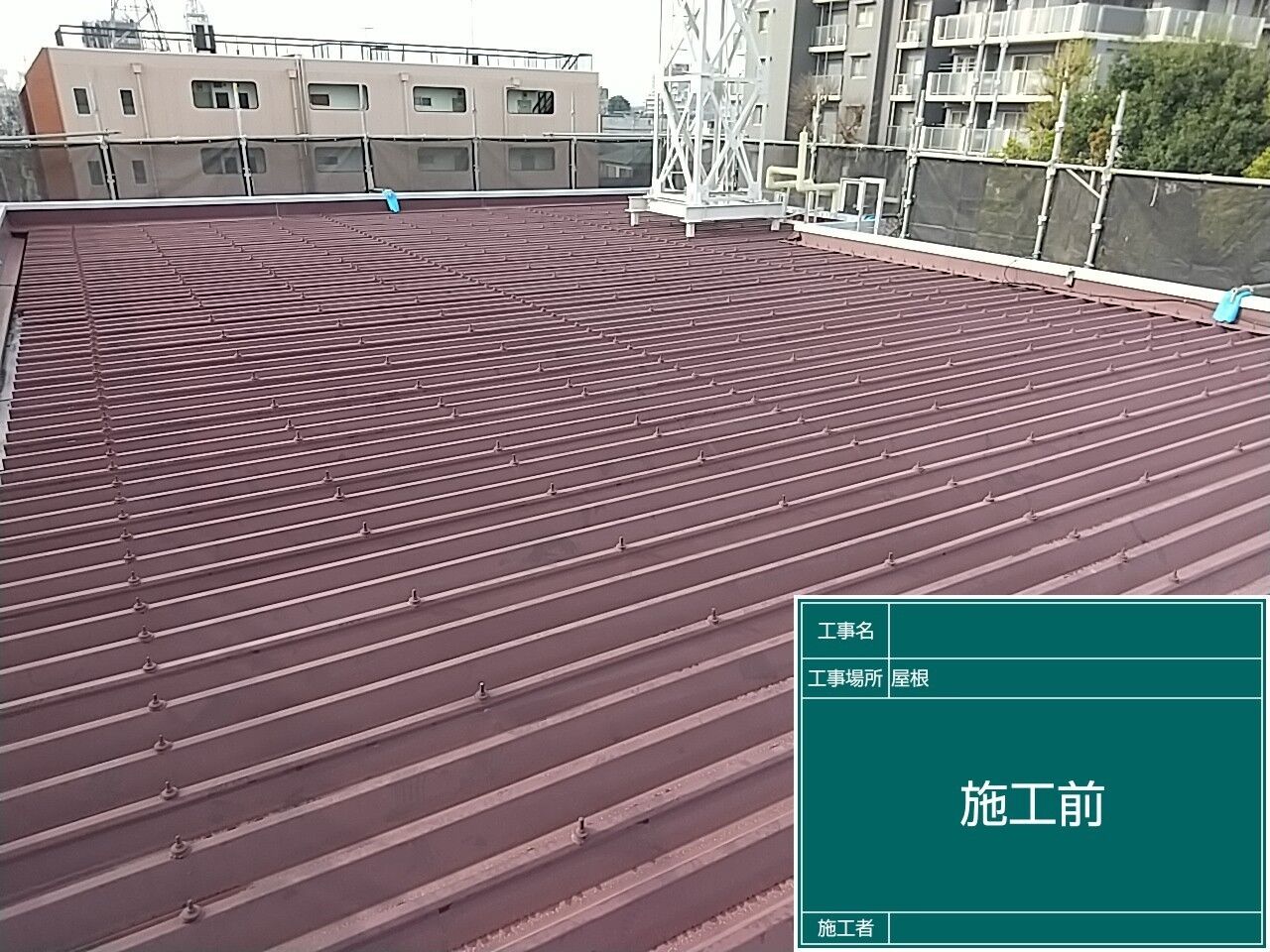 LINE_ALBUM_屋根_230808_11