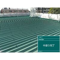 ビフォーアフターや豆知識などを紹介