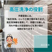 ビフォーアフターや豆知識などを紹介