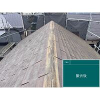 ビフォーアフターや豆知識などを紹介