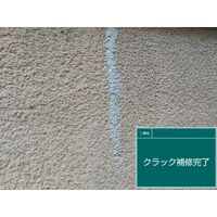 ビフォーアフターや豆知識などを紹介