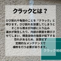 ビフォーアフターや豆知識などを紹介