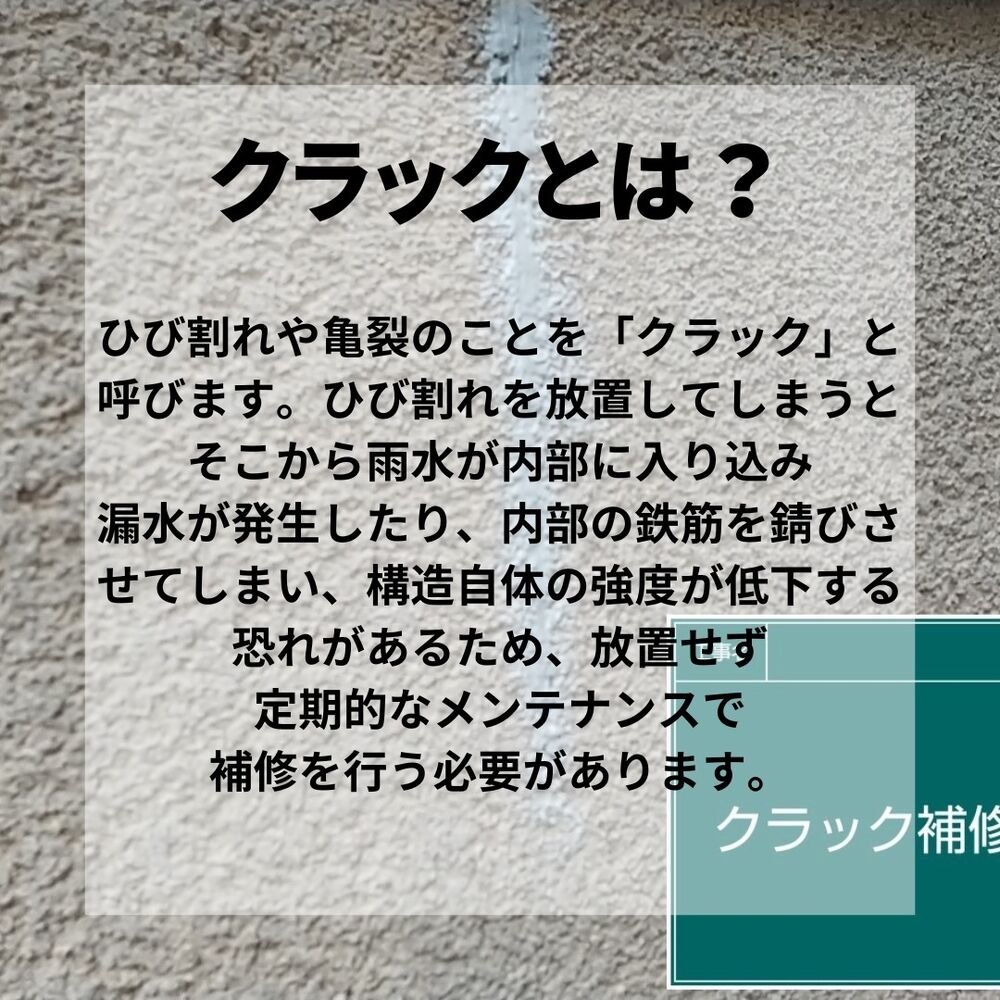 ビフォーアフターや豆知識などを紹介