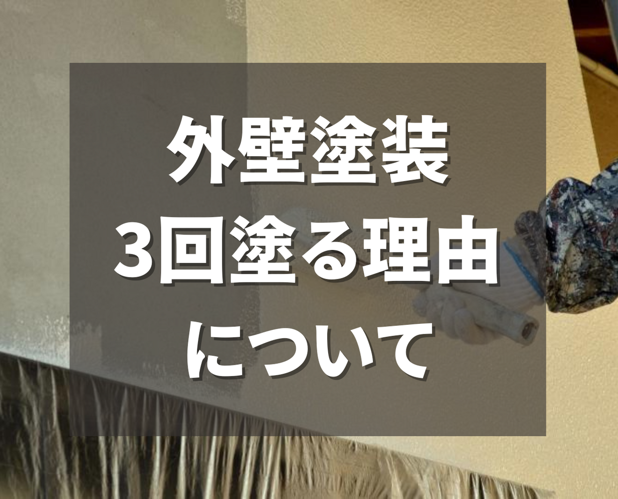 ビフォーアフターや豆知識などを紹介