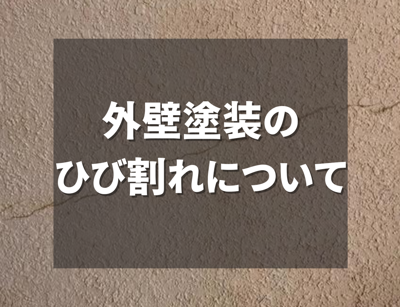 ビフォーアフターや豆知識などを紹介