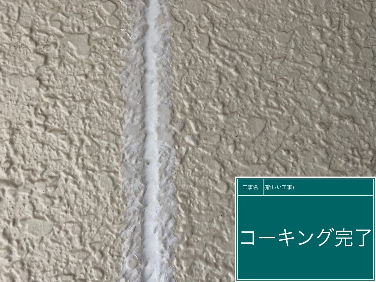 LINE_ALBUM_シール_230821_16