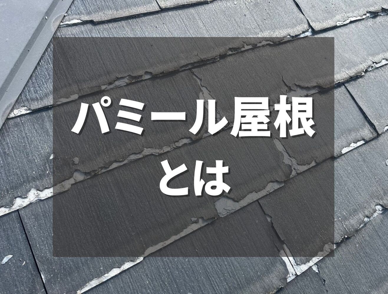 ビフォーアフターや豆知識などを紹介