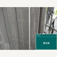 ビフォーアフターや豆知識などを紹介