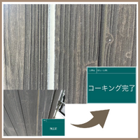 画像2239