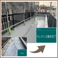 画像2247