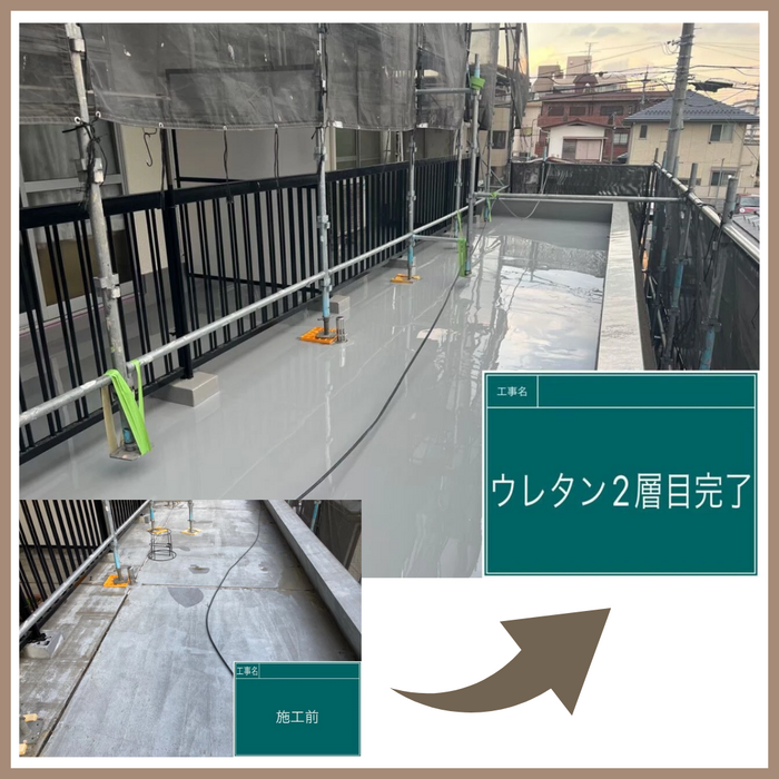 画像2247