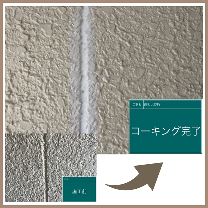 画像2249