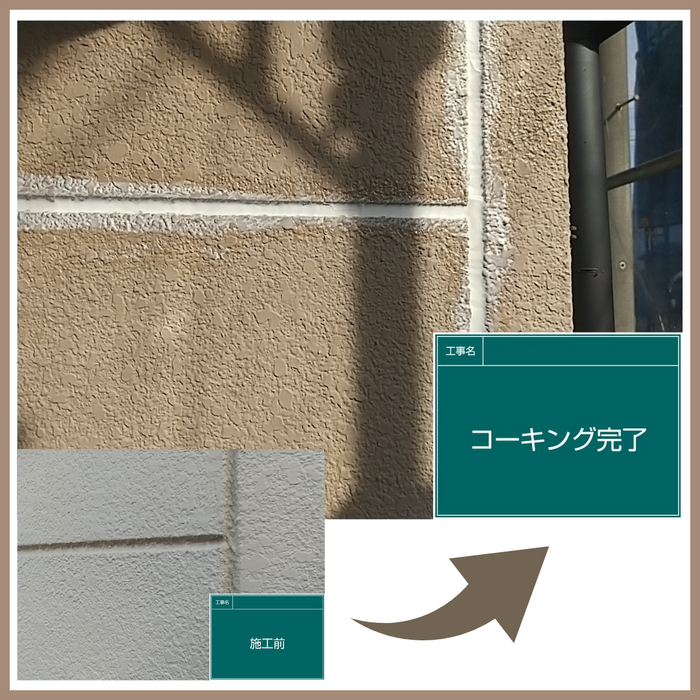 画像2366