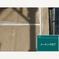 ビフォーアフターや豆知識などを紹介