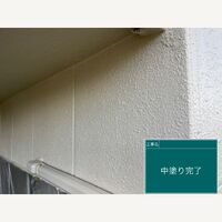 ビフォーアフターや豆知識などを紹介