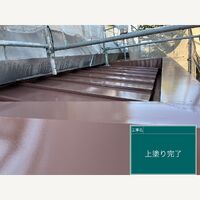 ビフォーアフターや豆知識などを紹介