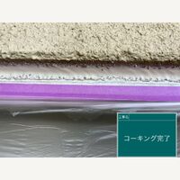 ビフォーアフターや豆知識などを紹介