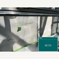 ビフォーアフターや豆知識などを紹介