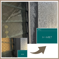 画像2537