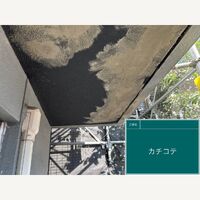 ビフォーアフターや豆知識などを紹介