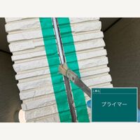 ビフォーアフターや豆知識などを紹介