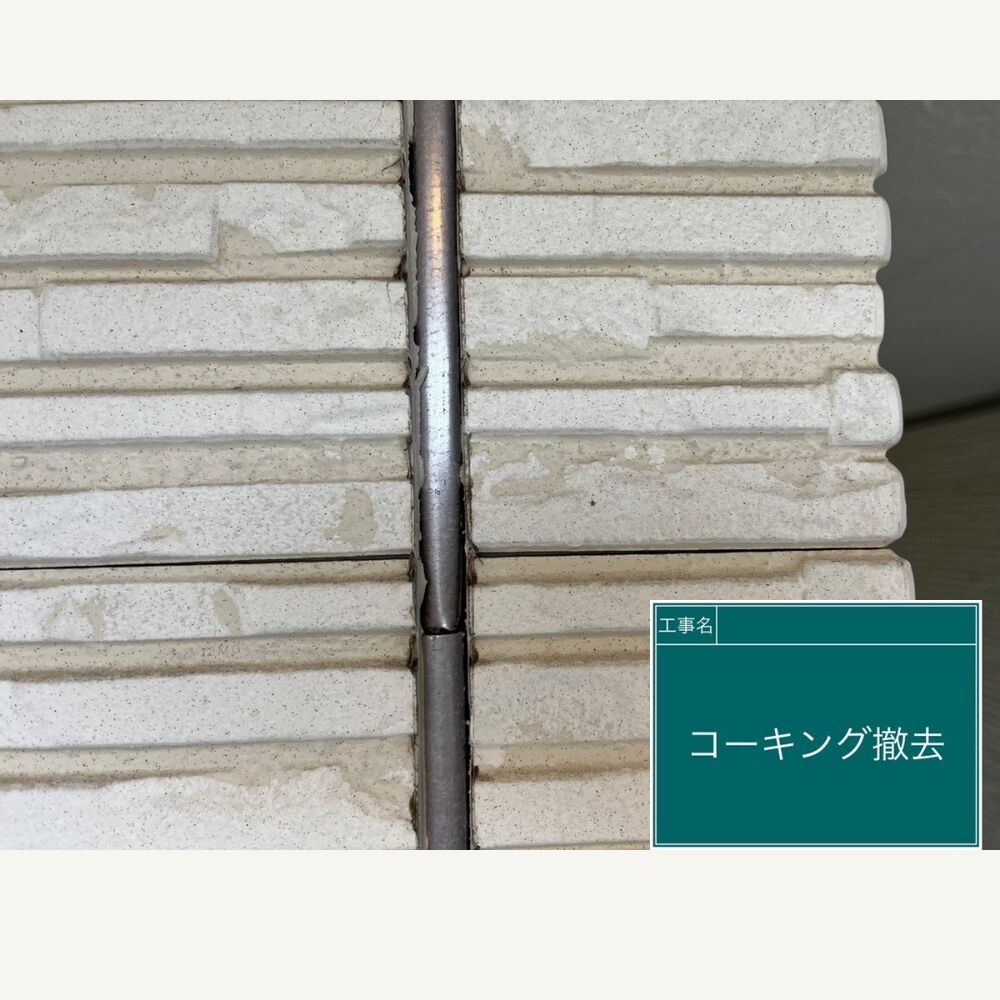 ビフォーアフターや豆知識などを紹介