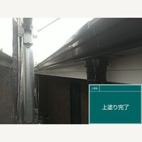 ビフォーアフターや豆知識などを紹介
