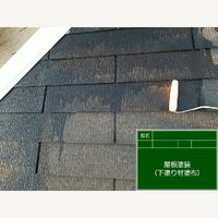 ビフォーアフターや豆知識などを紹介