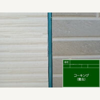 ビフォーアフターや豆知識などを紹介