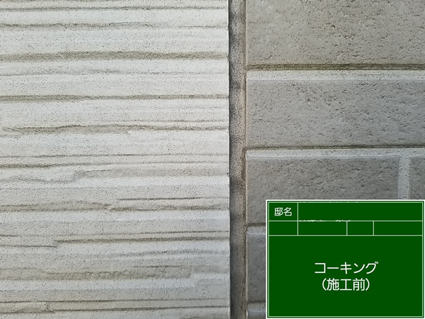 画像16
