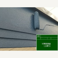 ビフォーアフターや豆知識などを紹介