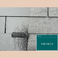 ビフォーアフターや豆知識などを紹介
