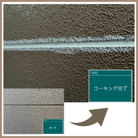 画像2884