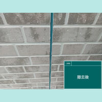 ビフォーアフターや豆知識などを紹介