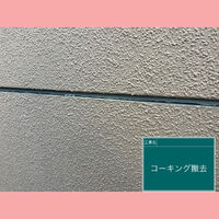 ビフォーアフターや豆知識などを紹介