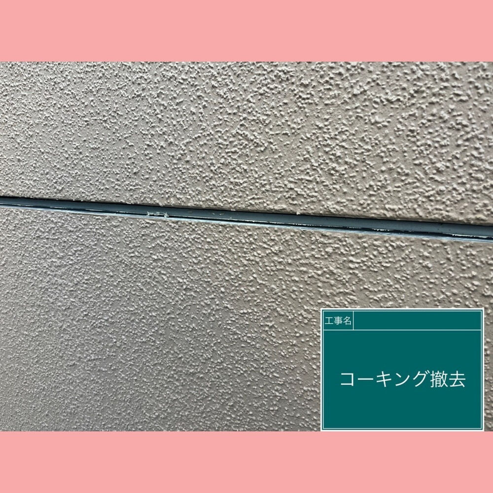 ビフォーアフターや豆知識などを紹介