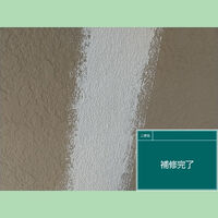ビフォーアフターや豆知識などを紹介