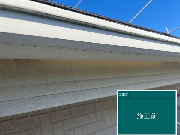 LINE_ALBUM_付帯部_240224_6
