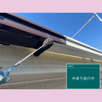 ビフォーアフターや豆知識などを紹介