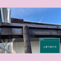 ビフォーアフターや豆知識などを紹介