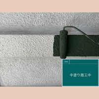 ビフォーアフターや豆知識などを紹介