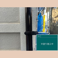 ビフォーアフターや豆知識などを紹介