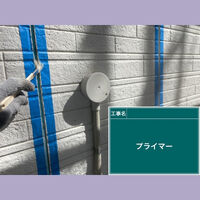 ビフォーアフターや豆知識などを紹介