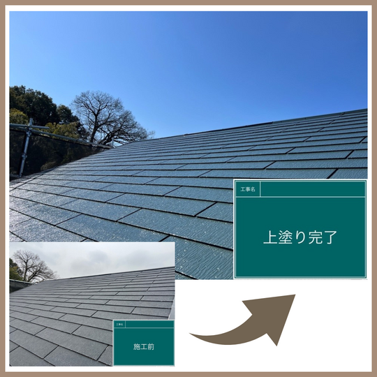 画像3586