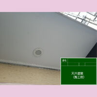 ビフォーアフターや豆知識などを紹介