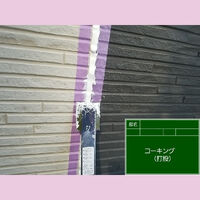 ビフォーアフターや豆知識などを紹介