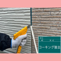 ビフォーアフターや豆知識などを紹介