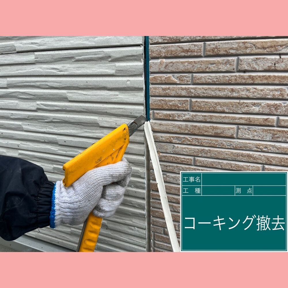 ビフォーアフターや豆知識などを紹介